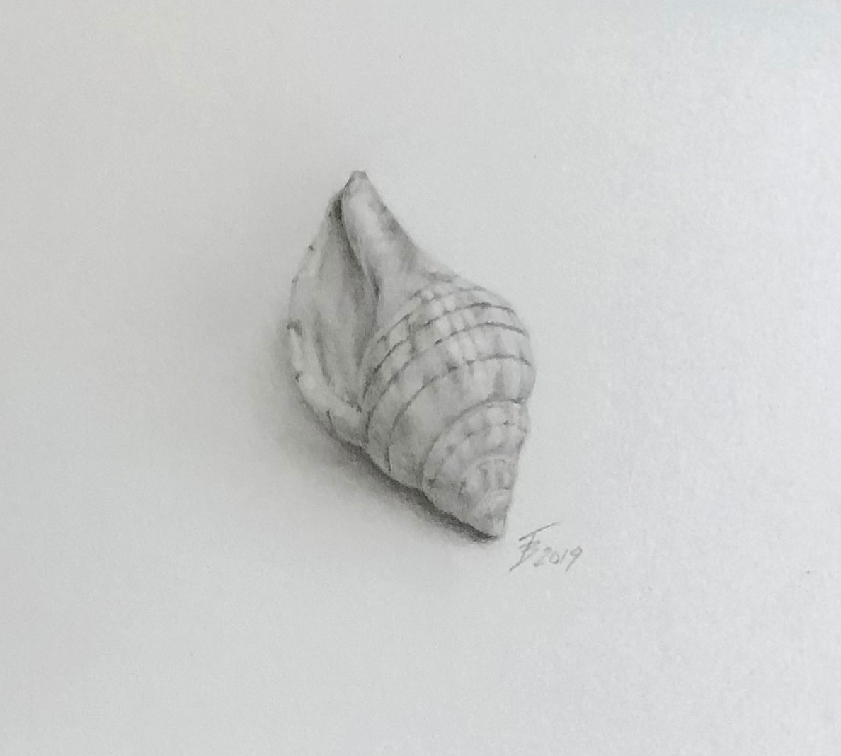 Shell